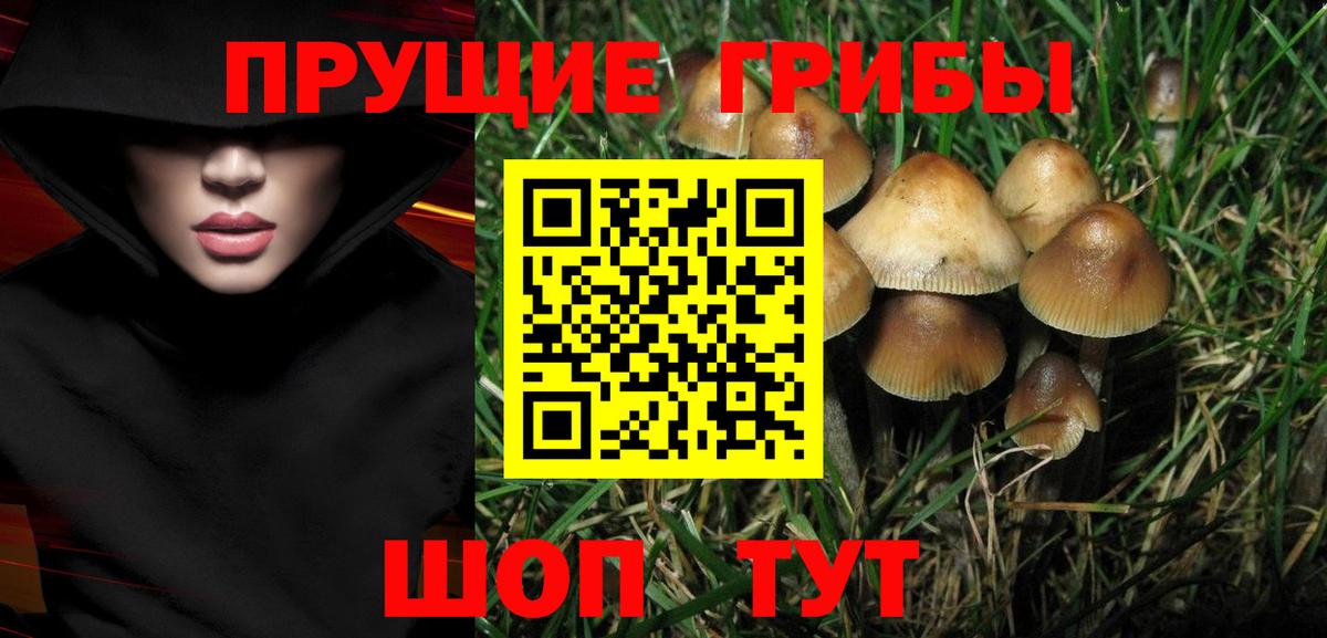 Псилоцибиновые грибы MAGIC MUSHROOMS  Псилоцибиновые грибы GOLDEN TEACHER  Вход с VPN  Гурьевск 